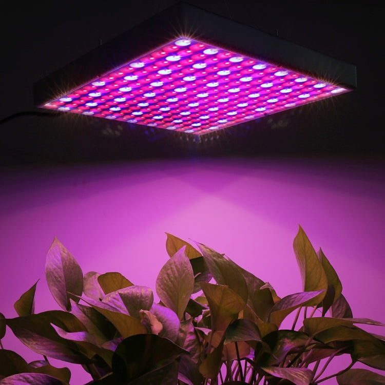 225 LED Greenhouse Light 