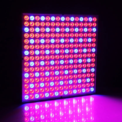 225 LED Greenhouse Light