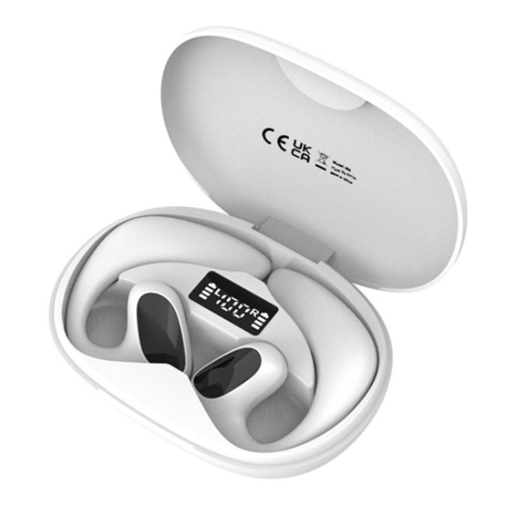 Smart Voice Translator TWS Earphones