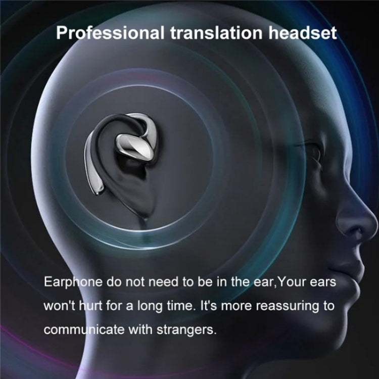 Smart Voice Translator TWS Earphones