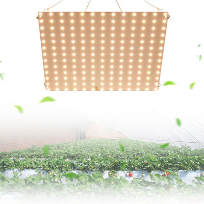 LED Plant Growth Light Indoor Quantum Board