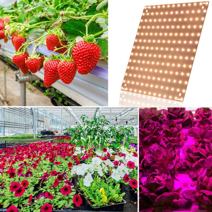 LED Plant Growth Light Indoor Quantum Board