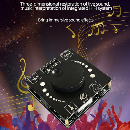 AP50H HiFi 2.0 Stereo Bluetooth Amplifier Board